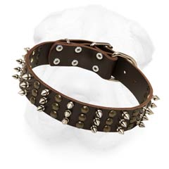 1 1/2 Inch Wide Leather Collar for Shar Pei with Spiked-Studded Ornament and a Buckle