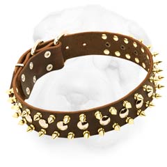 Wide Protective Style Leather Collar with Spikes and Studs
