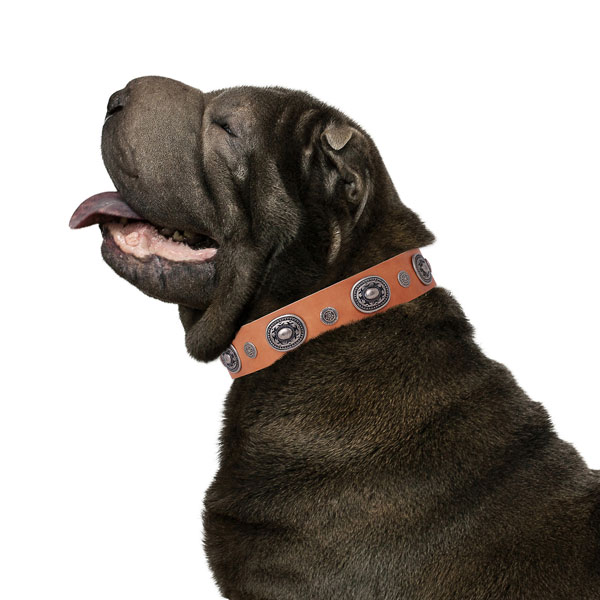 Leather dog collar with corrosion proof buckle and D-ring for easy wearing