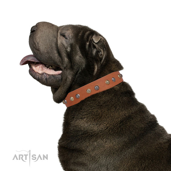 Full grain leather dog collar with reliable buckle and D-ring for stylish walking