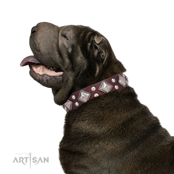 Everyday walking adorned dog collar made of quality genuine leather