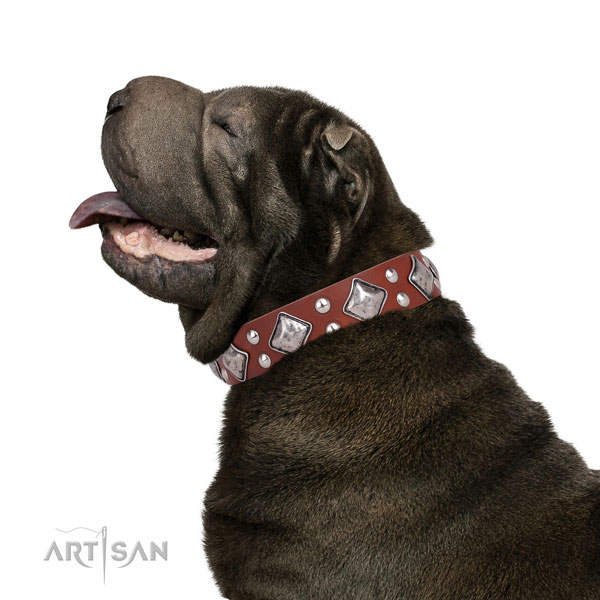 Everyday walking embellished dog collar made of top notch natural leather