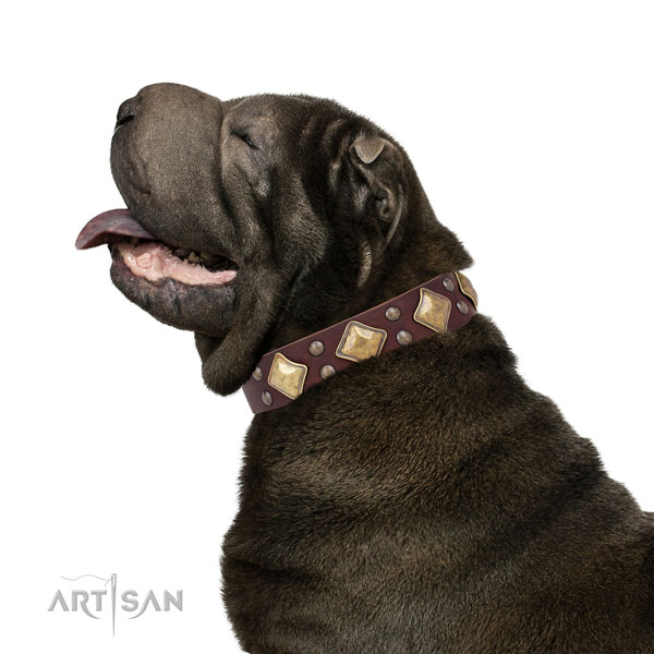 Everyday walking decorated dog collar made of quality leather