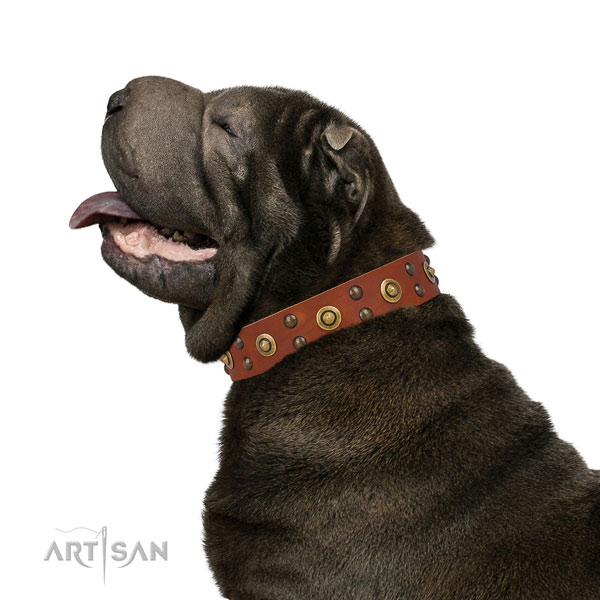 Handy use dog collar with stylish decorations