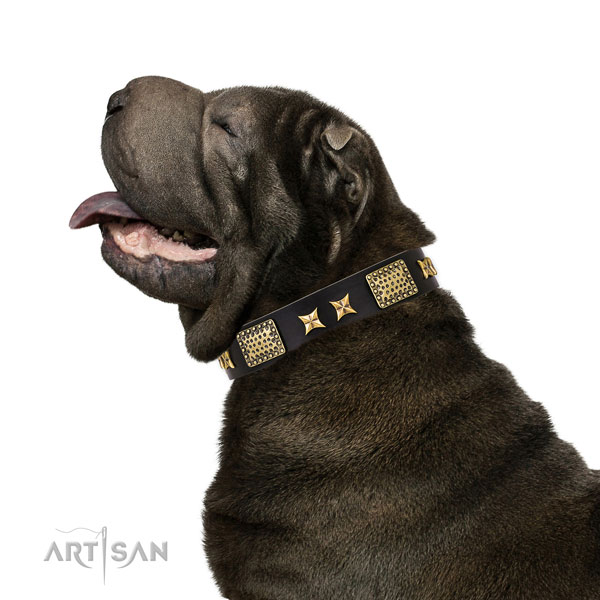 Everyday use dog collar with top notch adornments