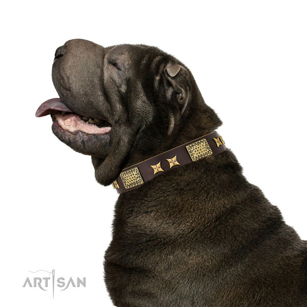 Daily walking dog collar with inimitable embellishments