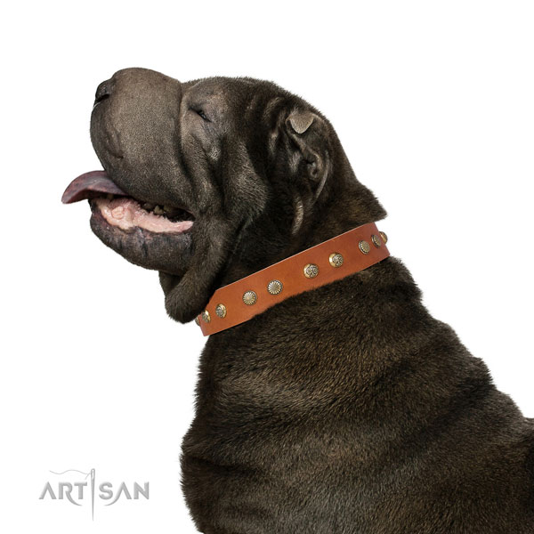 Unusual embellishments on easy wearing natural genuine leather dog collar