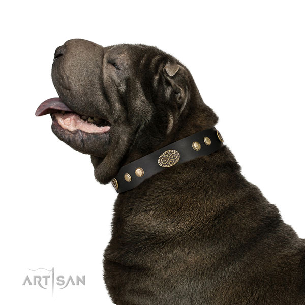 Corrosion proof fittings on leather dog collar