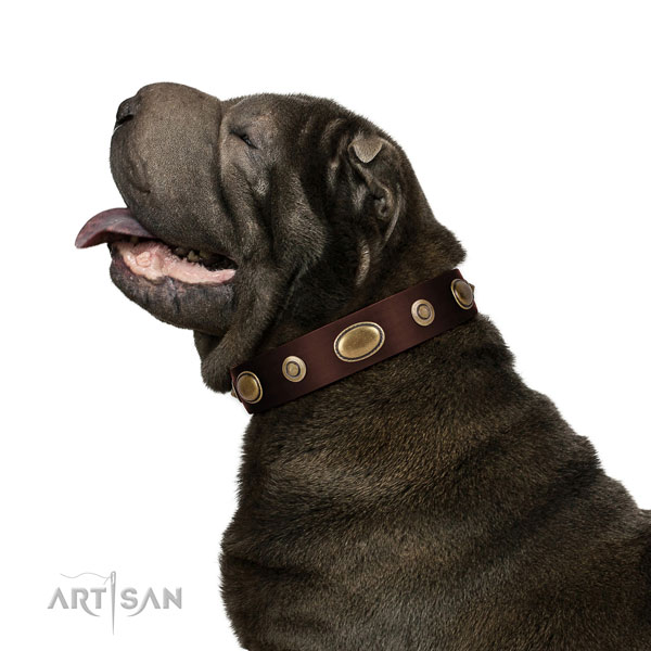 Comfy wearing dog collar of genuine leather with designer embellishments