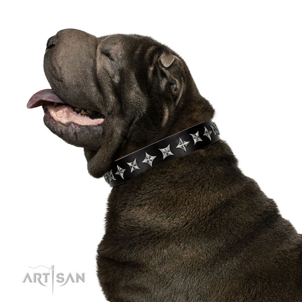 Comfy wearing studded dog collar of reliable natural leather