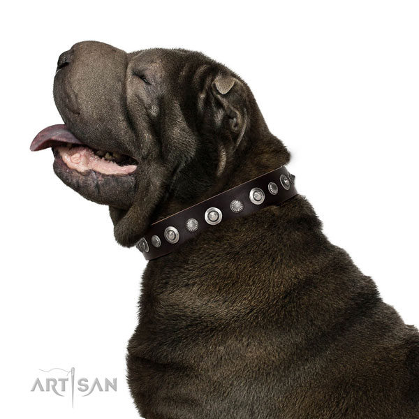 Fine quality genuine leather dog collar with incredible embellishments