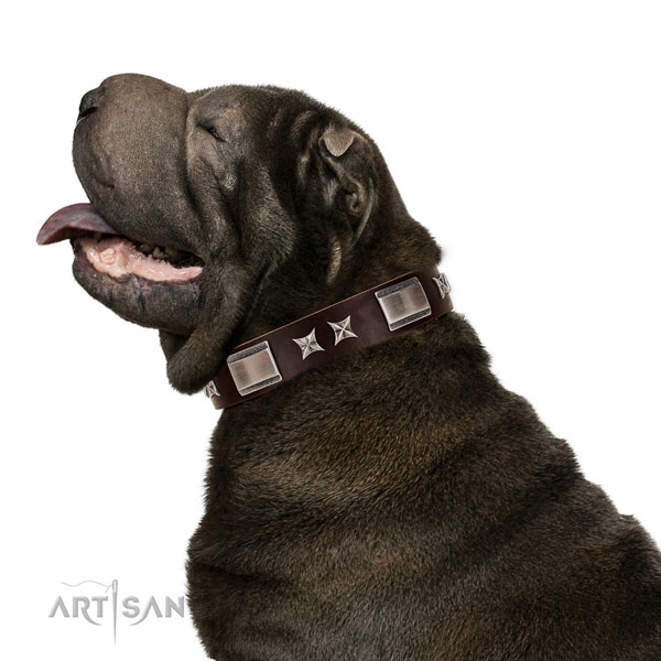 Awesome collar of full grain genuine leather for your beautiful doggie