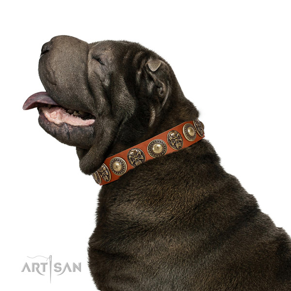 Trendy full grain natural leather collar for your attractive dog