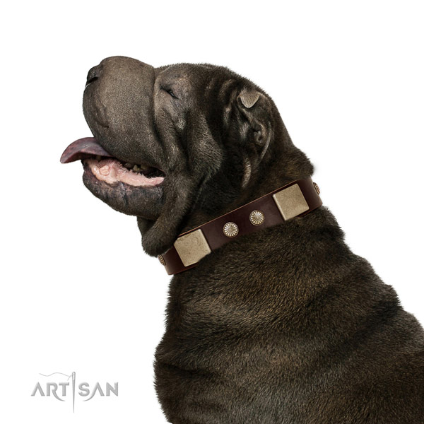 Reliable hardware on full grain leather dog collar for comfortable wearing