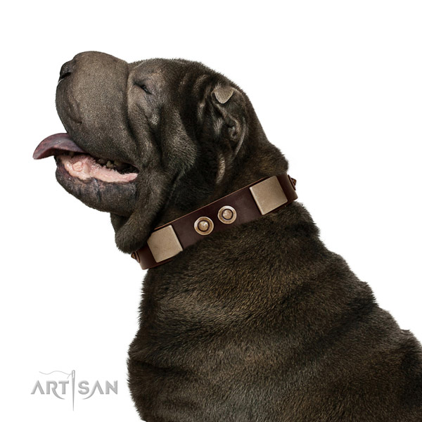 Corrosion proof fittings on leather dog collar for basic training
