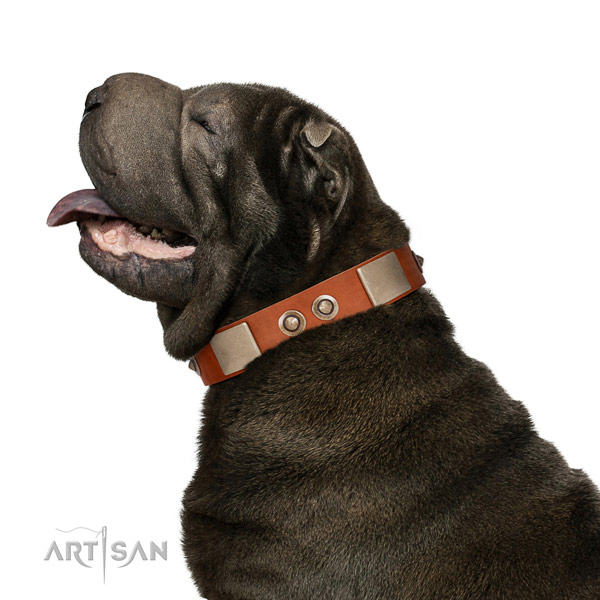 Corrosion proof fittings on full grain leather dog collar for everyday walking