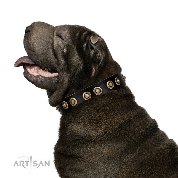 Daily walking dog collar of genuine leather with incredible adornments