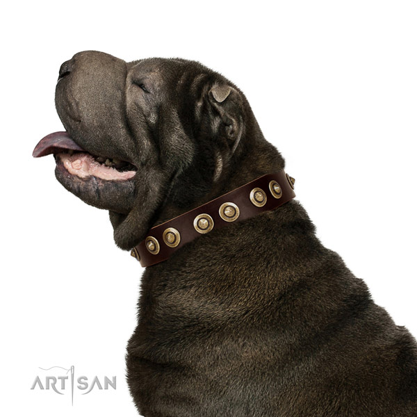 Rust resistant fittings on full grain genuine leather dog collar for everyday use