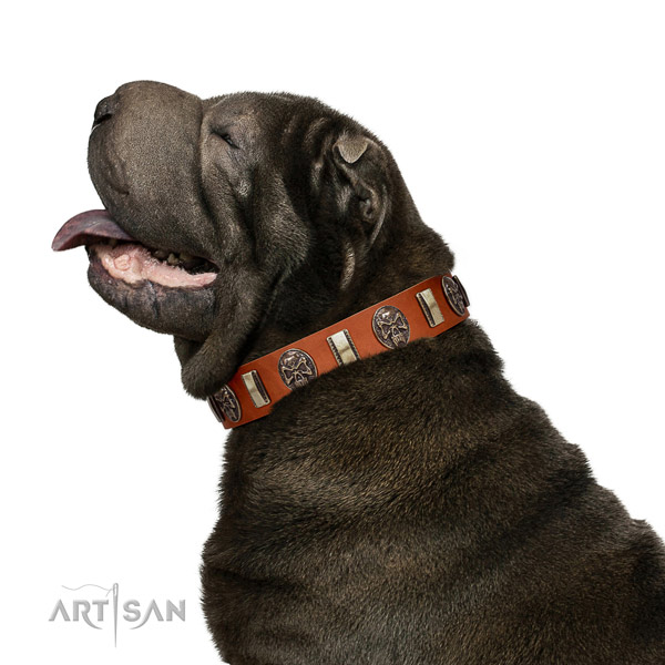 Full grain genuine leather dog collar with impressive decorations