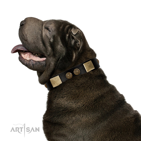 Comfy wearing dog collar of leather with remarkable embellishments