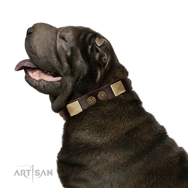 Comfy wearing dog collar of leather with exquisite adornments