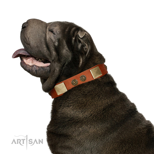 Amazing dog collar created for your stylish four-legged friend