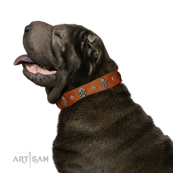 Walking dog collar of natural leather with amazing decorations