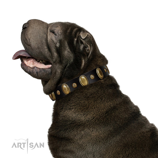 Leather dog collar of soft to touch material with fashionable adornments