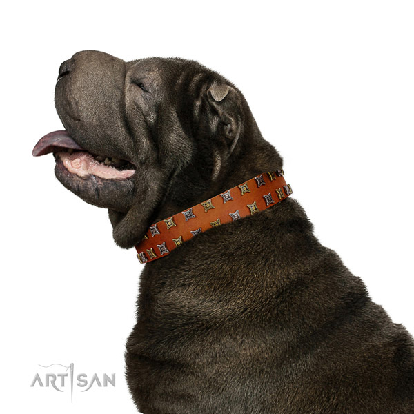 Reliable full grain genuine leather dog collar with studs for your doggie