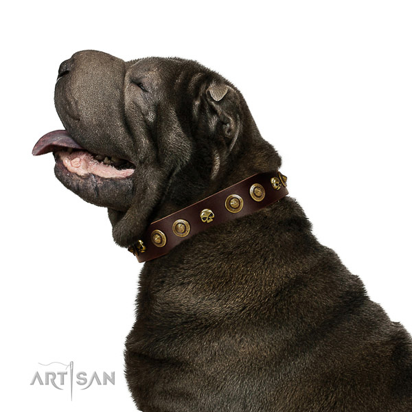 Gentle to touch leather dog collar with decorations for your dog