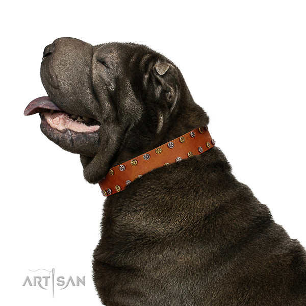 Walking best quality full grain leather dog collar with adornments