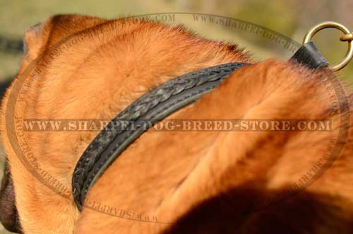 Leather Dog Choke Collar for Shar Pei Training