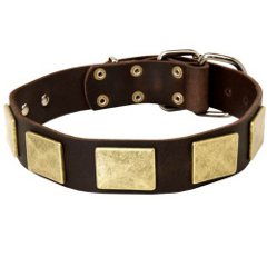 Leather Shar Pei Collar Decorated with Brass Plates