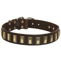 Shar Pei Collar Decorated with Brass Plates