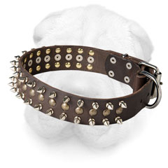 Leather Shar Pei Collar Decorated with Brass Studs