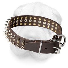 Leather Shar Pei Collar with Durable Fittings