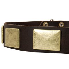 Everyday Shar Pei Collar Made of Leather