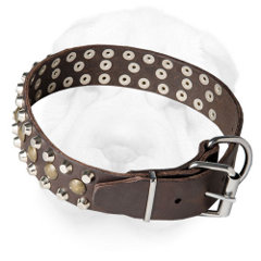 Leather Collar for Shar Pei Everyday Walking