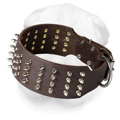 Leather Collar for Shar Pei Everyday Walking