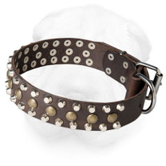 Leather Shar Pei Collar Decorated with Metal Studs