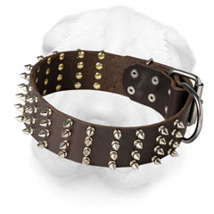 Leather Shar Pei Collar Decorated with Nickel Spikes