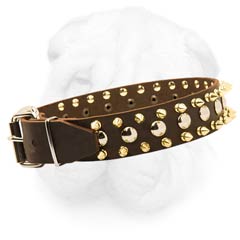 Neck Protecting Leather Dog Collar with Brass Spikes and Nickel Round Studs