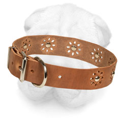 Shar-Pei Leather Collar with D ring
