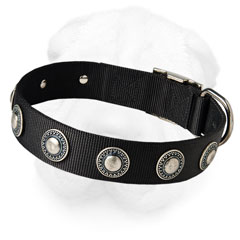 Nylon Shar-Pei Collar Decorated with Silver Conchos