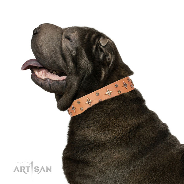Sharpei leather collar with corrosion proof hardware for easy wearing