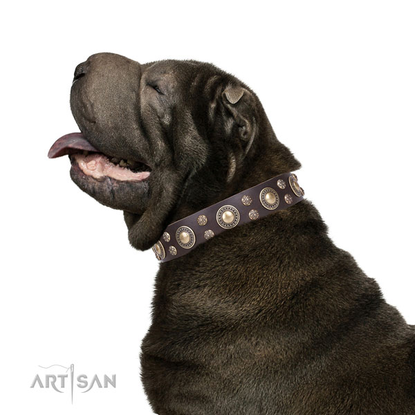 Sharpei leather collar with reliable D-ring for comfortable wearing