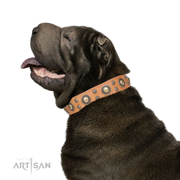 Sharpei natural genuine leather collar with rust-proof fittings for stylish walking