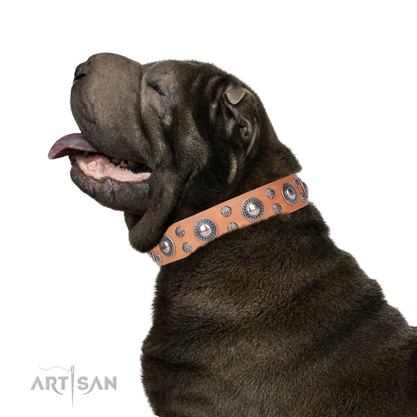 Sharpei leather collar with durable D-ring for comfortable wearing