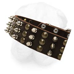 Shar Pei Leather Buckle Collar with Spikes and Studs Arranged into Interchanging Columns
