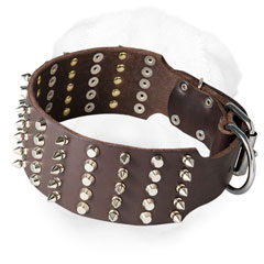 Shar-Pei Wide Collar with Studs and Spikes